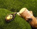 DSCN2761.webp
